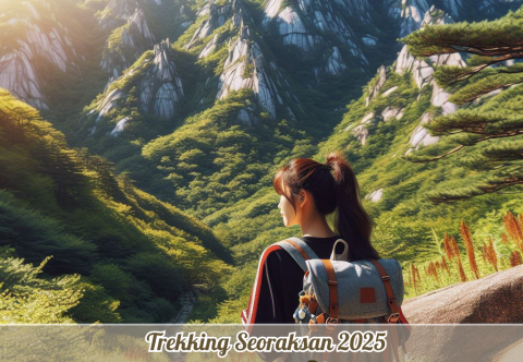 Trekking Seoraksan – Chinh Phục Đỉnh Cao Và Chạm Vào Vẻ Đẹp Hoang Sơ (Cập nhật 2025)